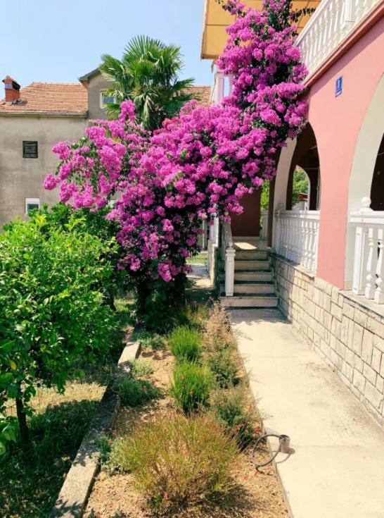 Peaceful, Cosy Tivat Guesthouse Extérieur photo